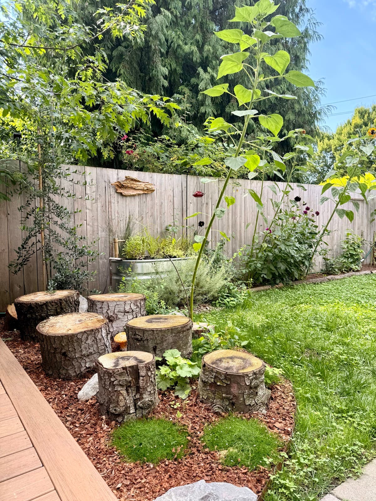 A circle of tree stump seats in the garden
